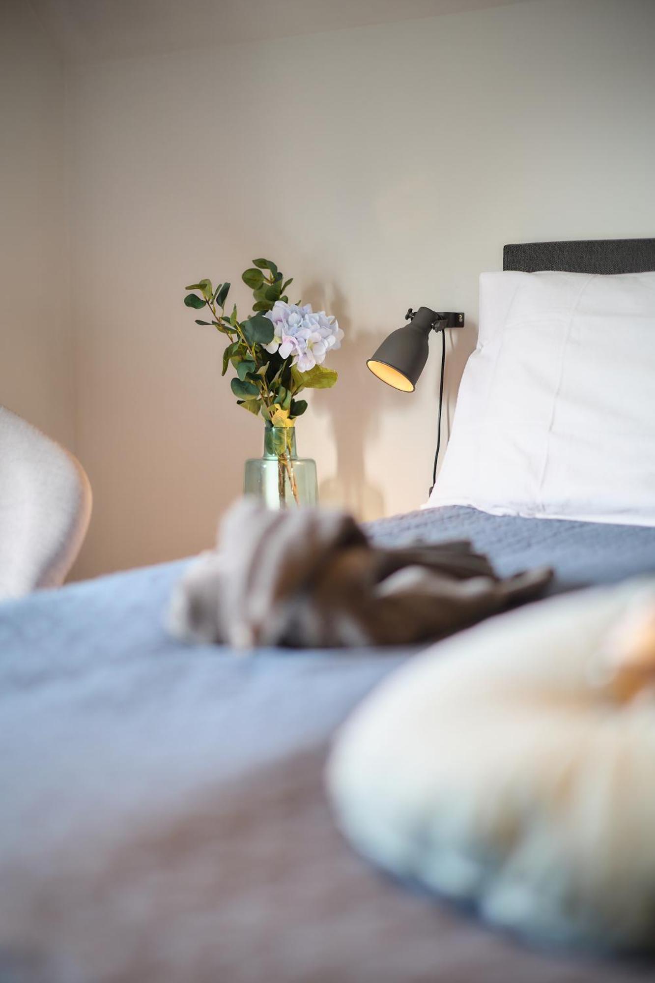 Villa Cecha B&B &Wellness Οστένδη Εξωτερικό φωτογραφία