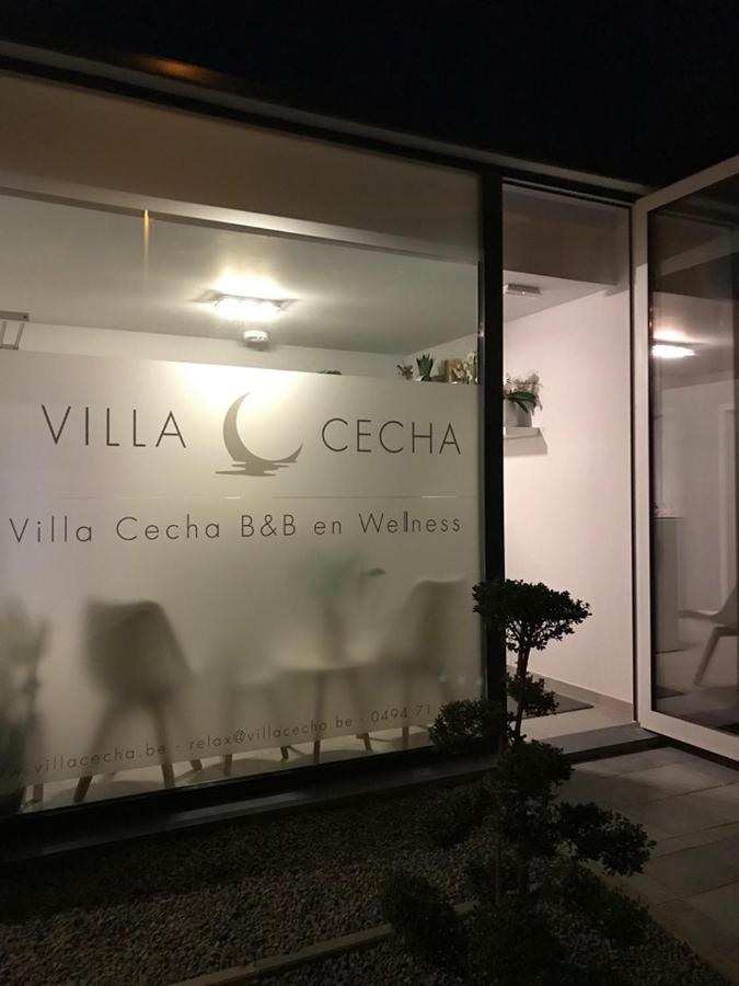 Villa Cecha B&B &Wellness Οστένδη Εξωτερικό φωτογραφία